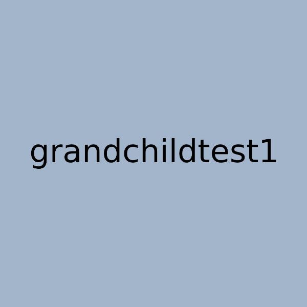 Picture of grandchildtest1