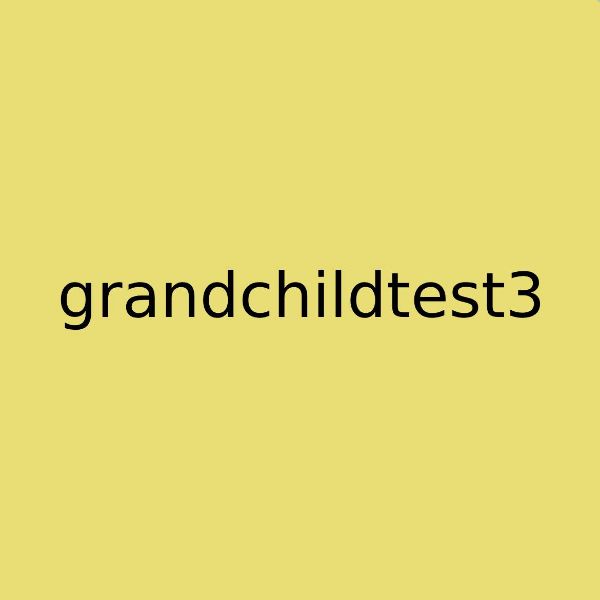 Picture of grandchildtest3